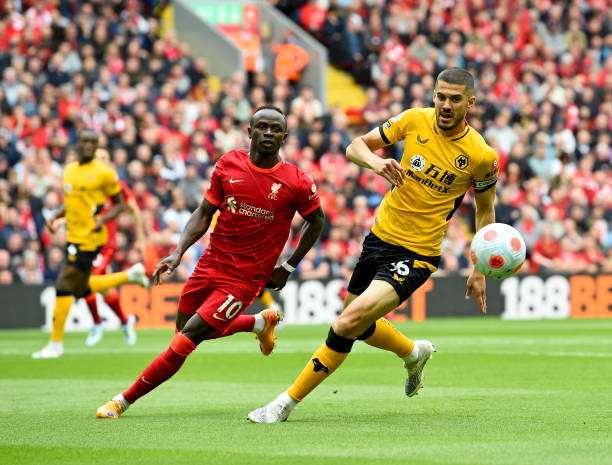 最近表达了 最近表达了